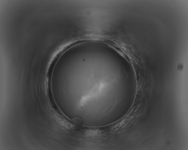 X0000095680342200801151130