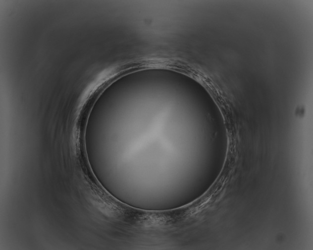 X0000095680343200801151130