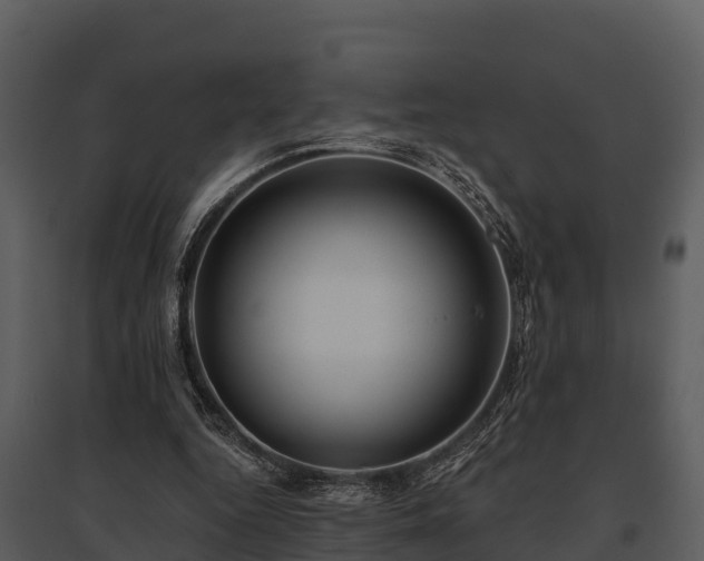 X0000095680344200801151130