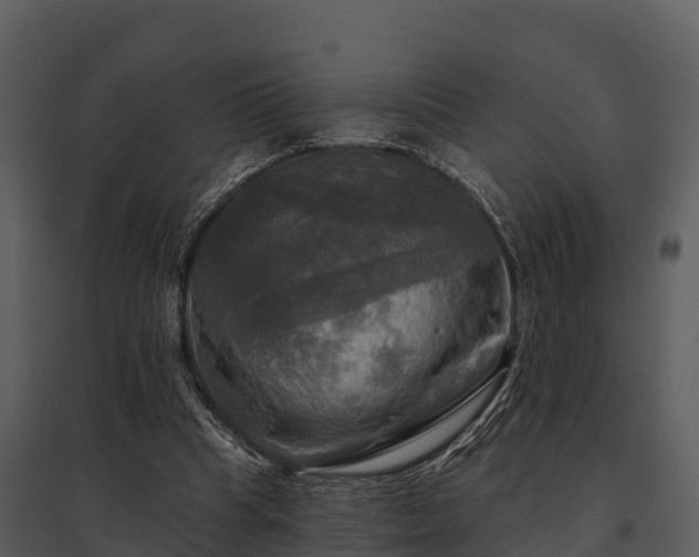 X0000095680345200801151130