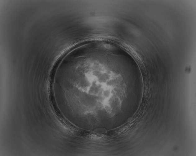 X0000095680346200801151130