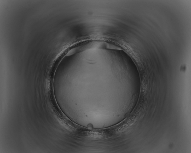 X0000095680347200801151130