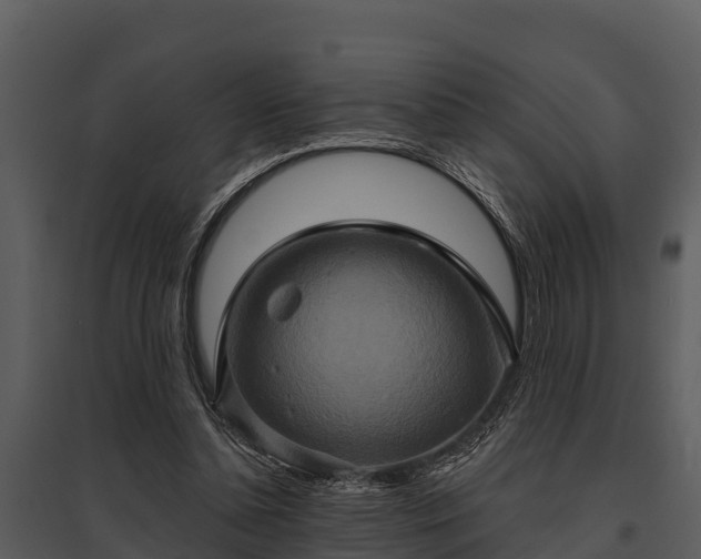 X0000095680348200801151130