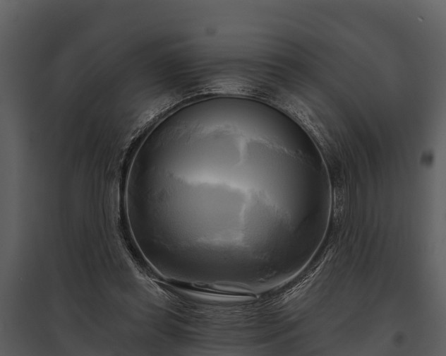 X0000095680349200801151130