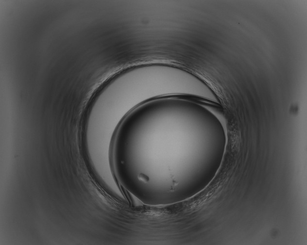 X0000095680350200801151130