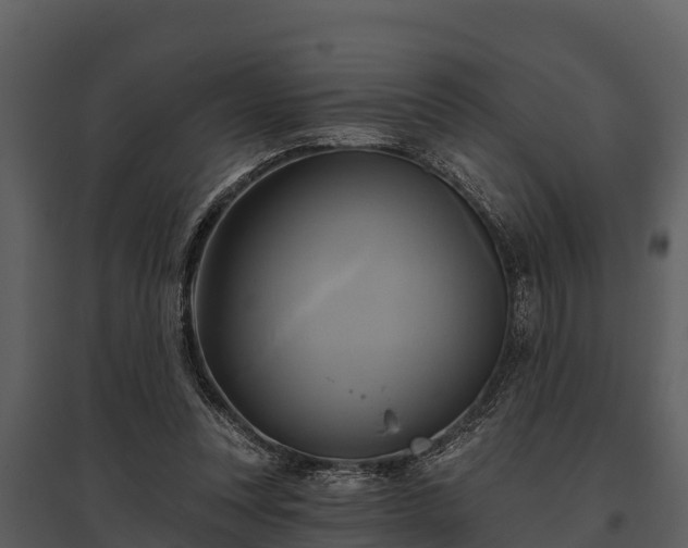 X0000095680351200801151131