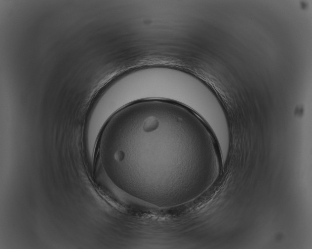X0000095680352200801151131
