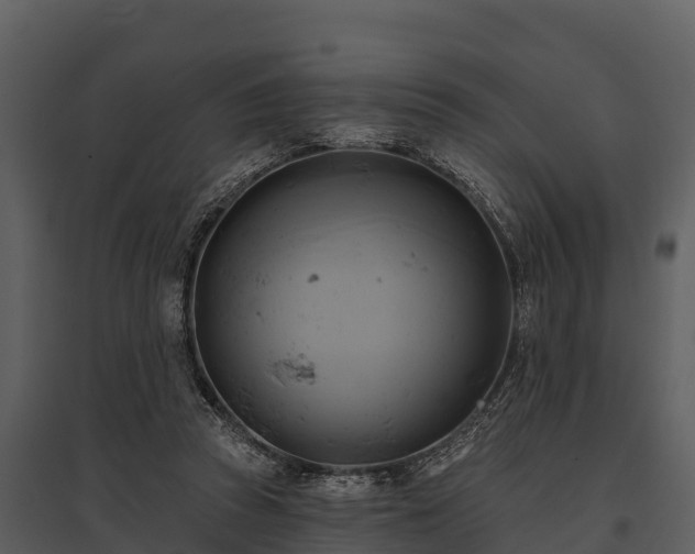 X0000095680353200801151131