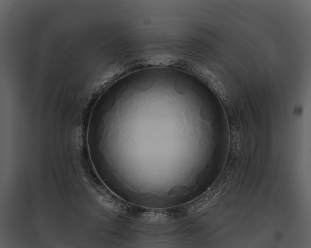 X0000095680354200801151131