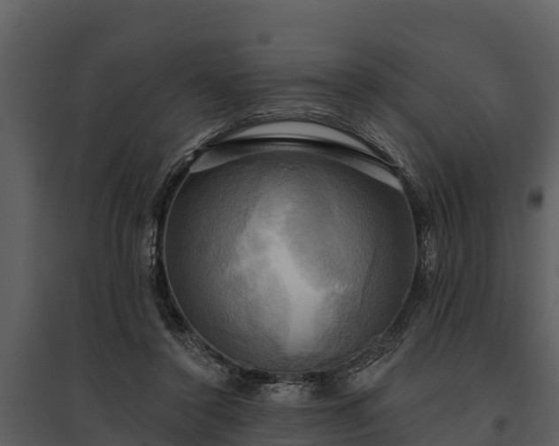 X0000095680356200801151131