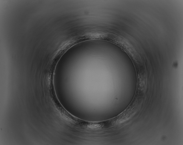 X0000095680357200801151131