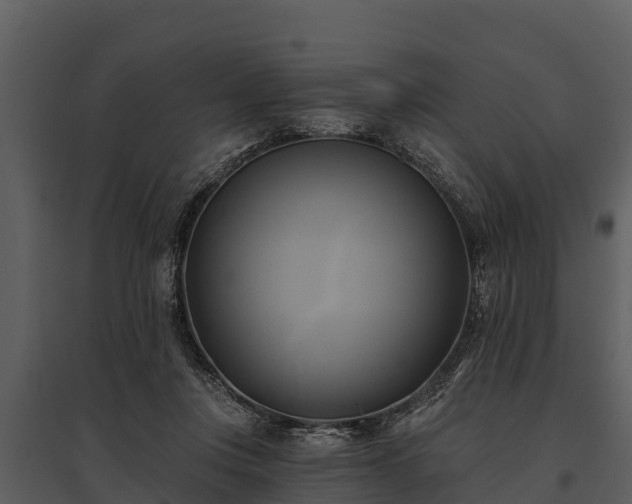 X0000095680359200801151131
