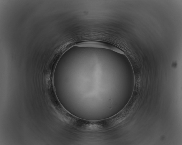 X0000095680360200801151131