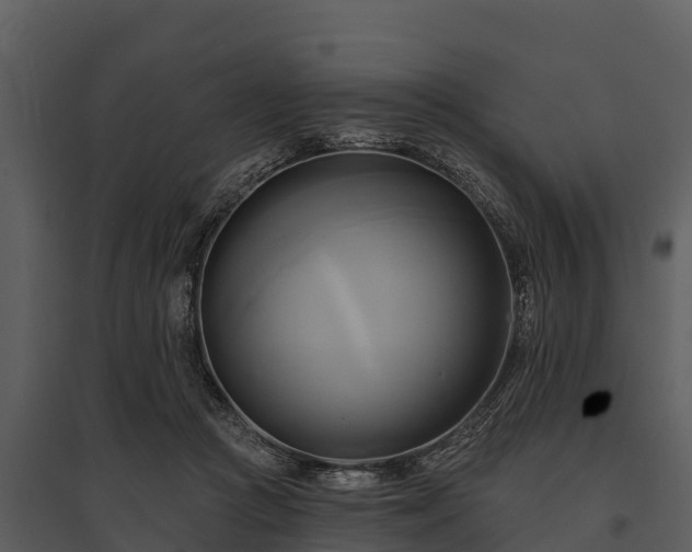 X0000095680361200801151131