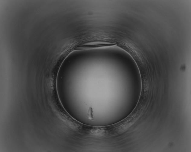 X0000095680362200801151131