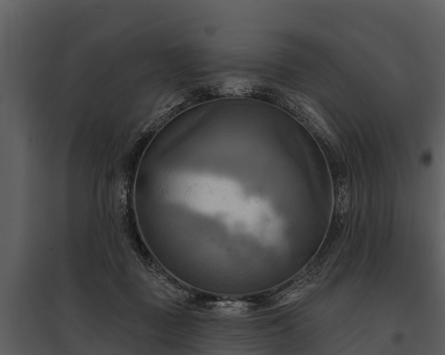 X0000095680363200801151131