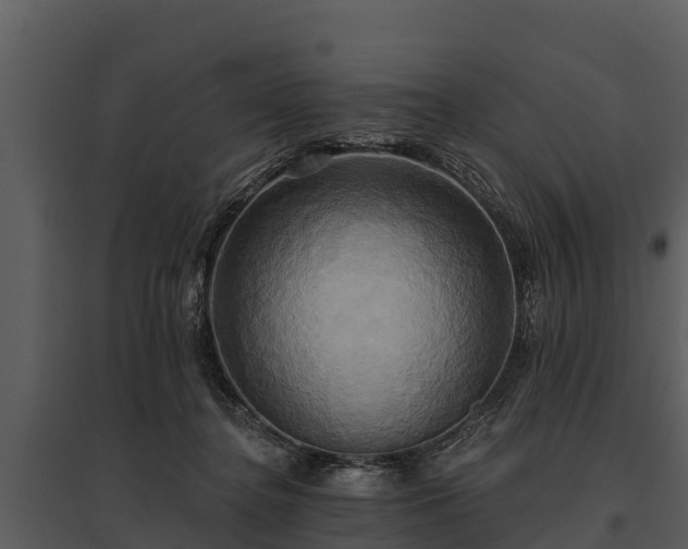 X0000095680364200801151131