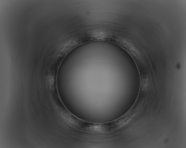 X0000095680365200801151131