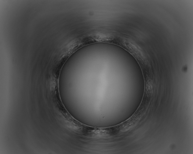 X0000095680367200801151131