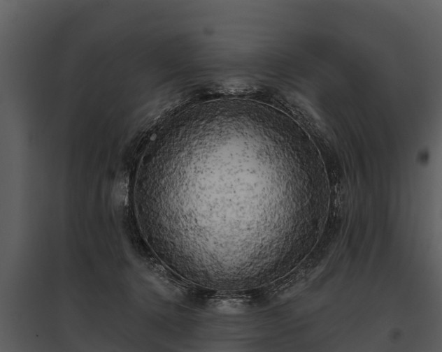 X0000095680368200801151131