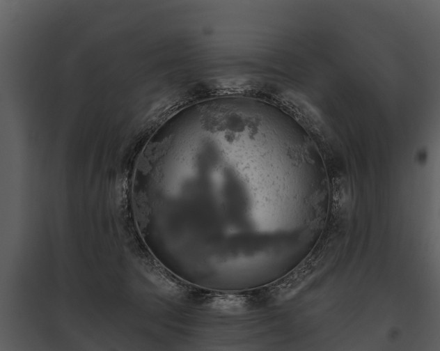 X0000095680369200801151131