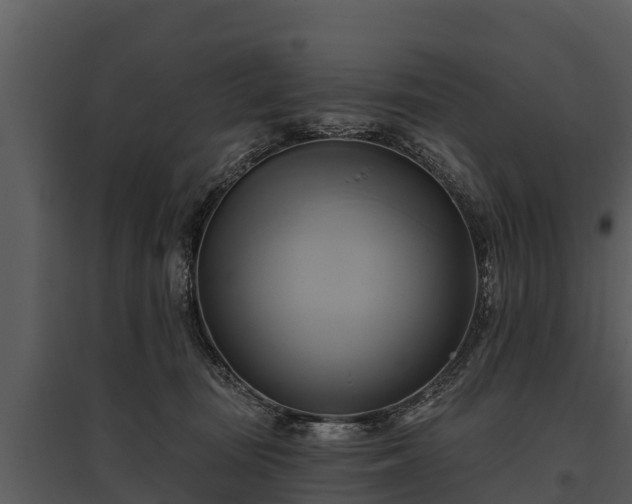 X0000095680371200801151131