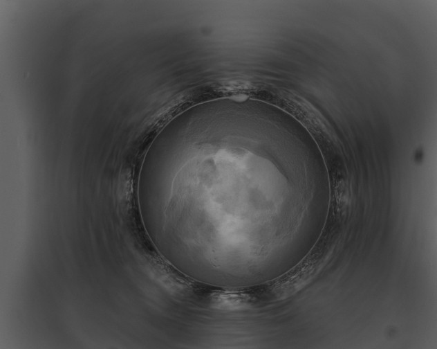 X0000095680372200801151131