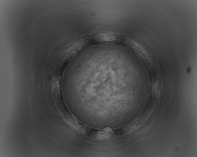 X0000095680373200801151131