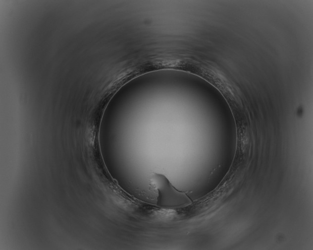 X0000095680374200801151131