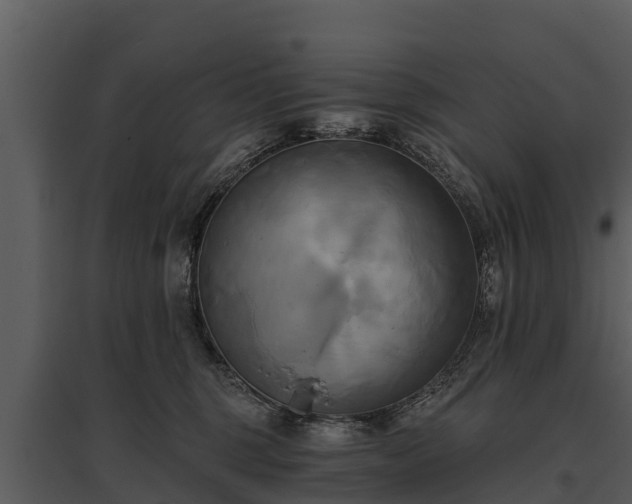 X0000095680375200801151131