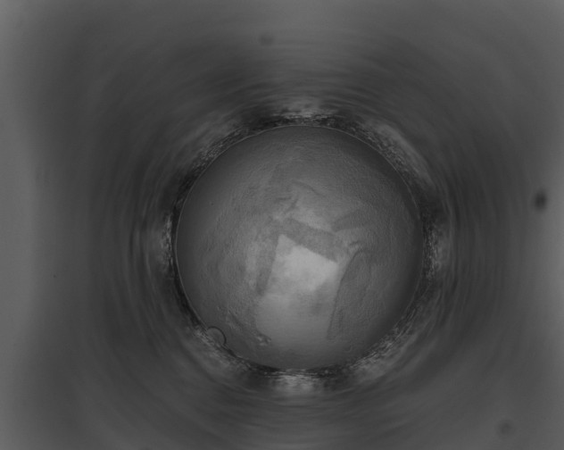 X0000095680376200801151131