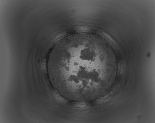 X0000095680377200801151131