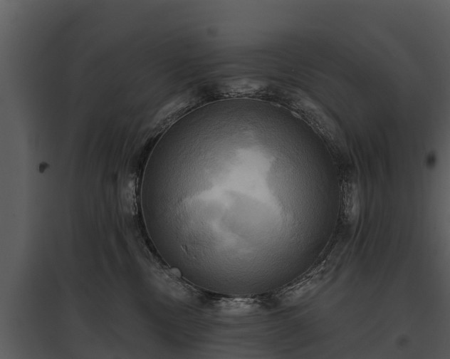 X0000095680378200801151131