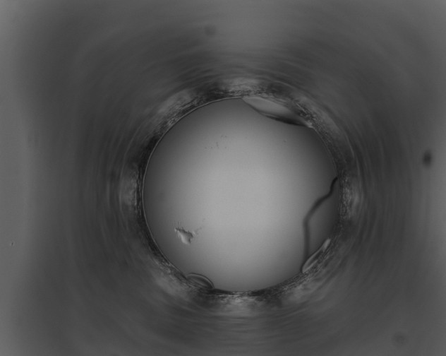 X0000095680379200801151131
