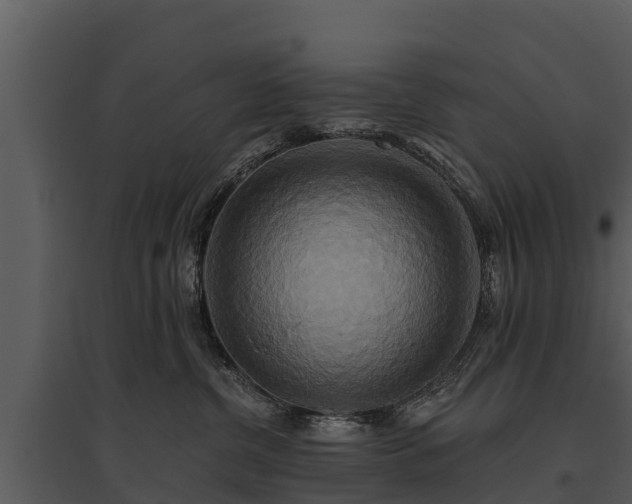 X0000095680380200801151131