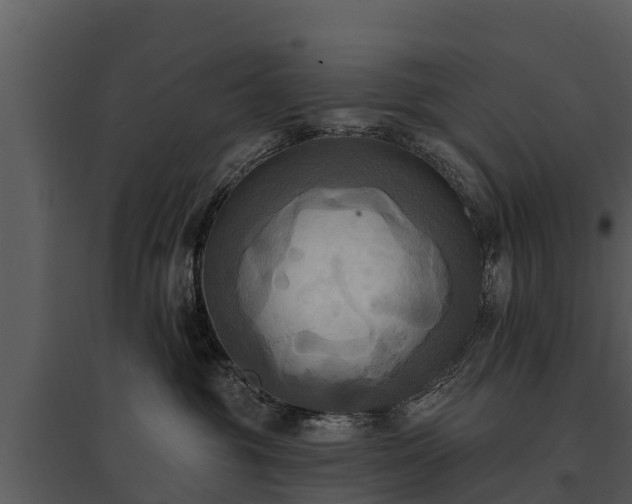 X0000095680381200801151131
