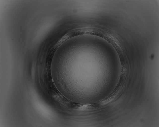 X0000095680382200801151131