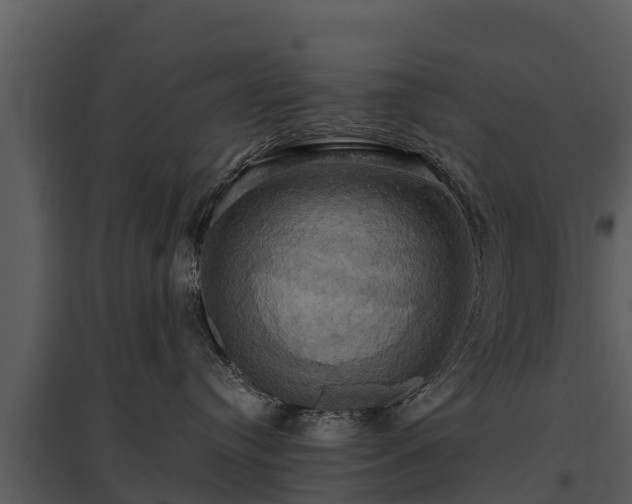 X0000095680384200801151131