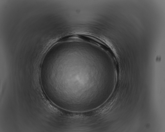 X0000095680385200801151130