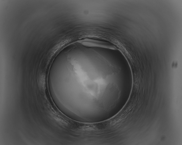 X0000095680386200801151130