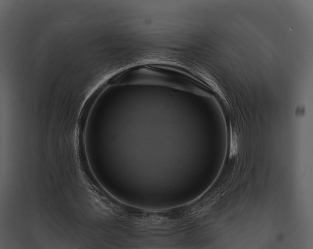 X0000095680387200801151130