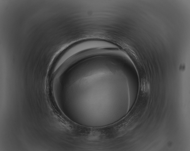 X0000095680388200801151130