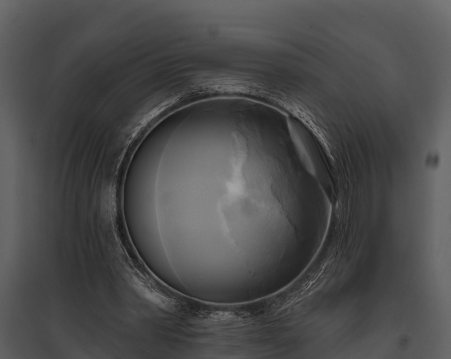 X0000095680390200801151130