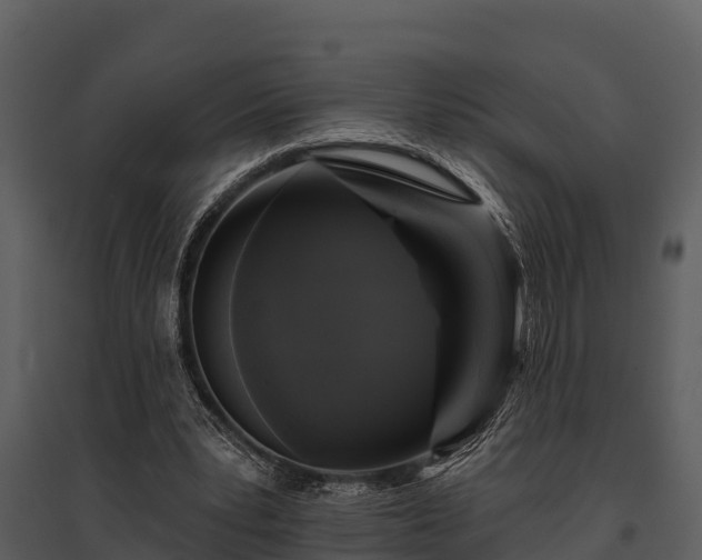 X0000095680391200801151130