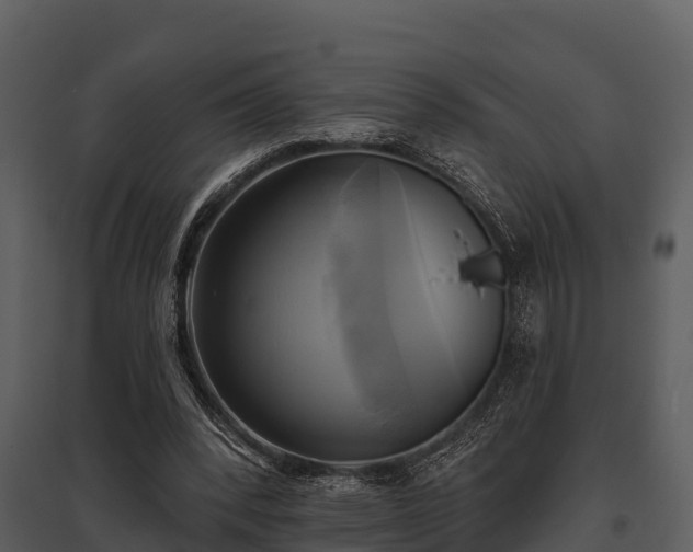 X0000095680392200801151130