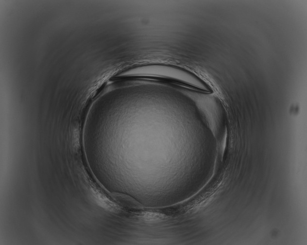 X0000095680393200801151130