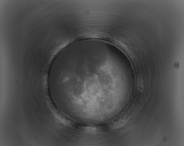 X0000095680394200801151130