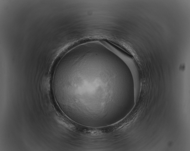 X0000095680395200801151130
