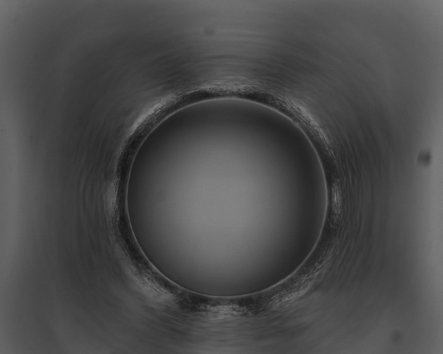 X0000095680396200801151130
