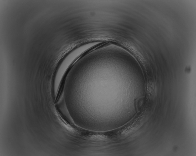 X0000095680397200801151130